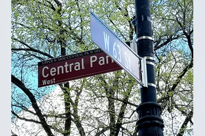 25 Central Park W #11AB, New York City, NY 10023 - Photo 37