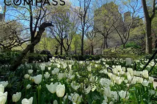 82 Irving Pl, New York City, NY 10003 - Photo 13