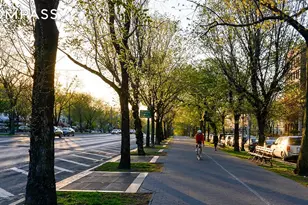 465 Eastern Pkwy, New York City, NY 11216 - Photo 11