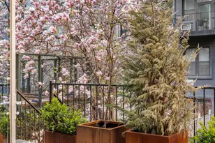 49 E 126th St, New York City, NY 10035 - Photo 5