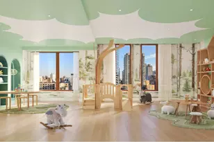 201 E 74th St, New York City, NY 10021 - Photo 25