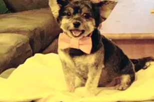 77 W 55th St, New York City, NY 10019 - Photo 7