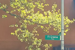 62 Fort Greene Pl, New York City, NY 11217 - Photo 33