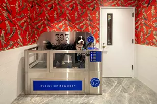 393 West End Ave, New York City, NY 10024 - Photo 29