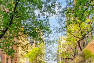 223 E 50th St, New York City, NY 10022 - Photo 15