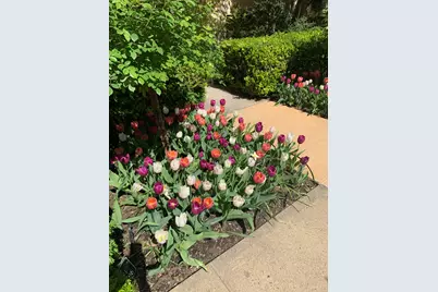 250 W 24th Street #1CW, New York City, NY 10011 - Photo 11