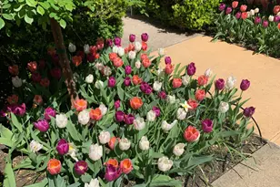 250 W 24 St, New York City, NY 10011 - Photo 11