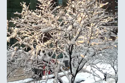 1065 Park Avenue #3B, New York City, NY 10128 - Photo 11