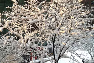 1065 Park Ave, New York City, NY 10128 - Photo 11