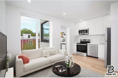 13 N Elliott Place #3, New York City, NY 11205 - Photo 3