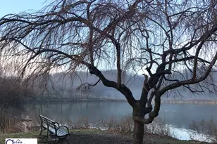 98 Park Terrace E, New York City, NY 10034 - Photo 9