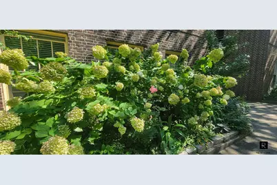 37-33 84th Street #21, New York City, NY 11372 - Photo 19