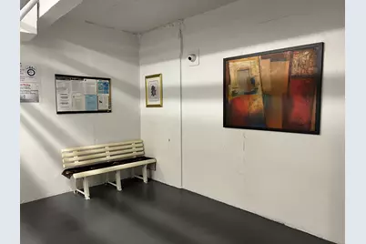 3220 Ave H #1J, New York City, NY 11210 - Photo 11