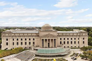 856 Washington Ave, New York City, NY 11238 - Photo 11