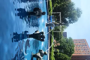 1949 McGraw Ave, New York City, NY 10462 - Photo 17