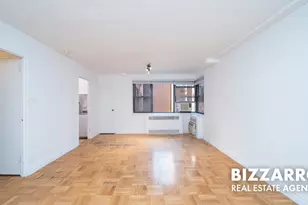 233 E 69th St, New York City, NY 10021 - Photo 3