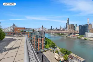 455 Main St, New York, NY 10044 - Photo 3