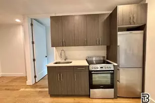 236 N 11th St, New York City, NY 11211 - Photo 3