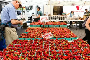 310 E 46th St, New York City, NY 10017 - Photo 13