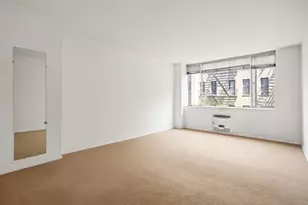 333 E 69th St, New York City, NY 10021 - Photo 5