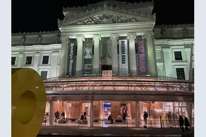 12 Halsey Street #718, New York City, NY 11216 - Photo 23