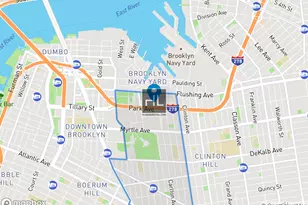 43 Cumberland St, New York City, NY 11205 - Photo 9