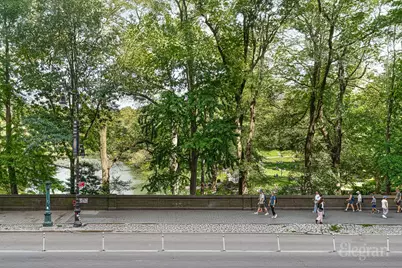 1 Central Park S #Mansion 201, New York City, NY 10019 - Photo 19