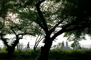 58 W 105th St, New York City, NY 10025 - Photo 13