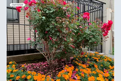 84 Macdougal Street #1, New York City, NY 11233 - Photo 9