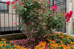 84 MacDougal St, New York City, NY 11233 - Photo 9