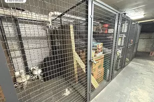 324 W 88th St, New York City, NY 10024 - Photo 13