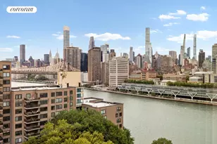 555 Main St, New York City, NY 10044 - Photo 3