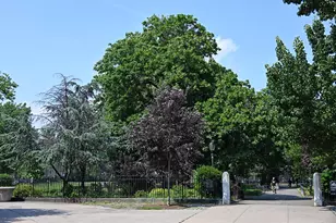 12 Halsey St, Brooklyn, NY 11216 - Photo 19