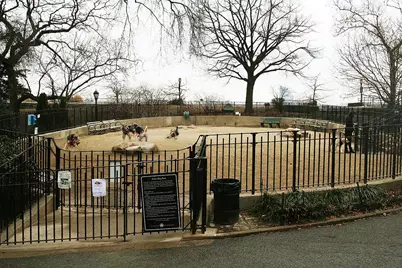 538 E 84th Street #2A, New York City, NY 10028 - Photo 13