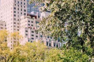 10 W 66th St, New York City, NY 10023 - Photo 33