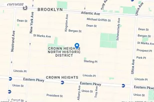 1137 Park Pl, New York City, NY 11213 - Photo 31