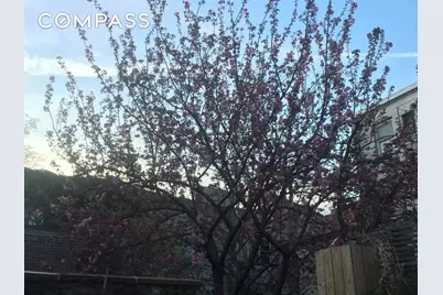 56 Bergen Street #1R, New York City, NY 11201 - Photo 11