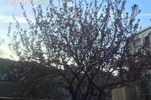 56 Bergen St, New York City, NY 11201 - Photo 11