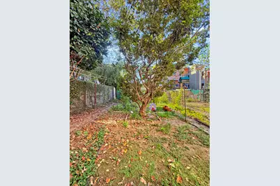 426 Mac Donough Street, New York City, NY 11233 - Photo 31