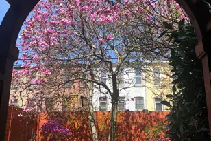 441 MacDonough St, New York City, NY 11233 - Photo 7