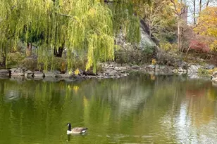 250 Manhattan Ave, New York City, NY 10026 - Photo 13