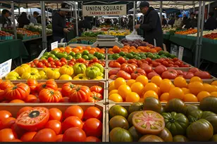 39 E 20th St, New York City, NY 10003 - Photo 13