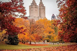 200 W 56th St, New York City, NY 10019 - Photo 13