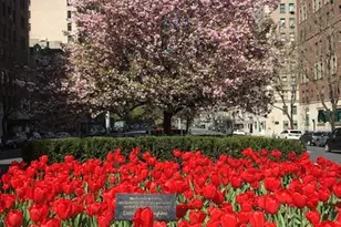 64 East 86th St, New York City, NY 10028 - Photo 13