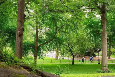 61 E 77th Street #3EF, New York City, NY 10075 - Photo 11