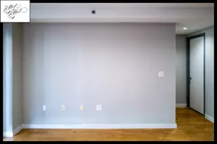 260 N 9th St, New York City, NY 11211 - Photo 5