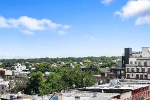 1546 Broadway, New York City, NY 11221 - Photo 9