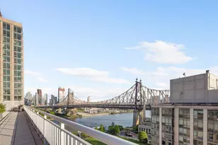 425 Main St, New York City, NY 10044 - Photo 13