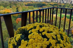 25 Central Prk W, New York City, NY 10023 - Photo 17