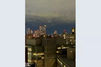 520 E 72nd Street #PHC, New York City, NY 10021 - Photo 11